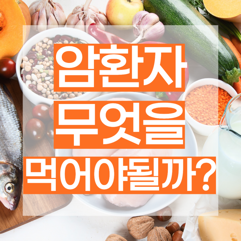 암 환자 식단 식재료 도감｜간암·갑상선암·위암·유방암·췌장암·폐암·자궁내막암·전립선....