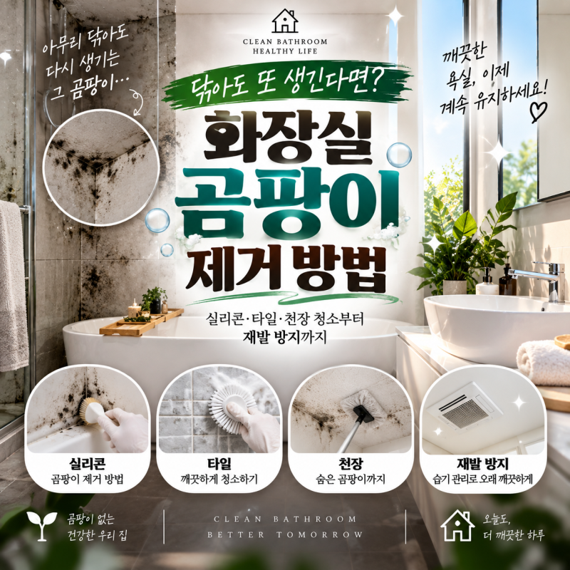 “닦아도 또 생긴다면?” 화장실 곰팡이 제거 방법｜실리콘·타일·천장 청소부터 재발 방지....