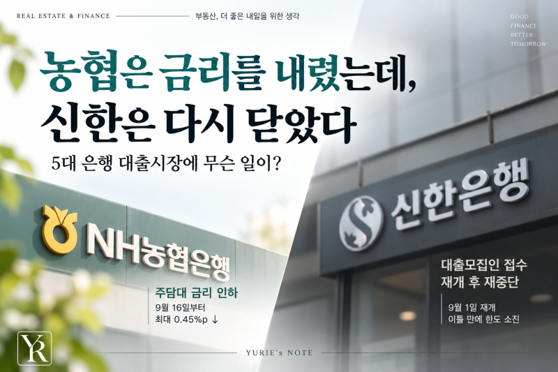 [대출정보] 농협은 주담대 금리를 내렸는데, 신한은 다시 닫았다 - 5대 은행 대출시장, 정말 ....