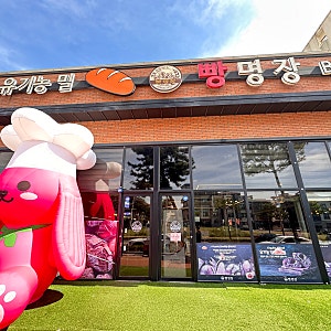 대천 베이커리카페맛집 빵명장 내돈내산 후기 빵을쇼핑하다빵명장 대천해수욕장근처 카페 ....