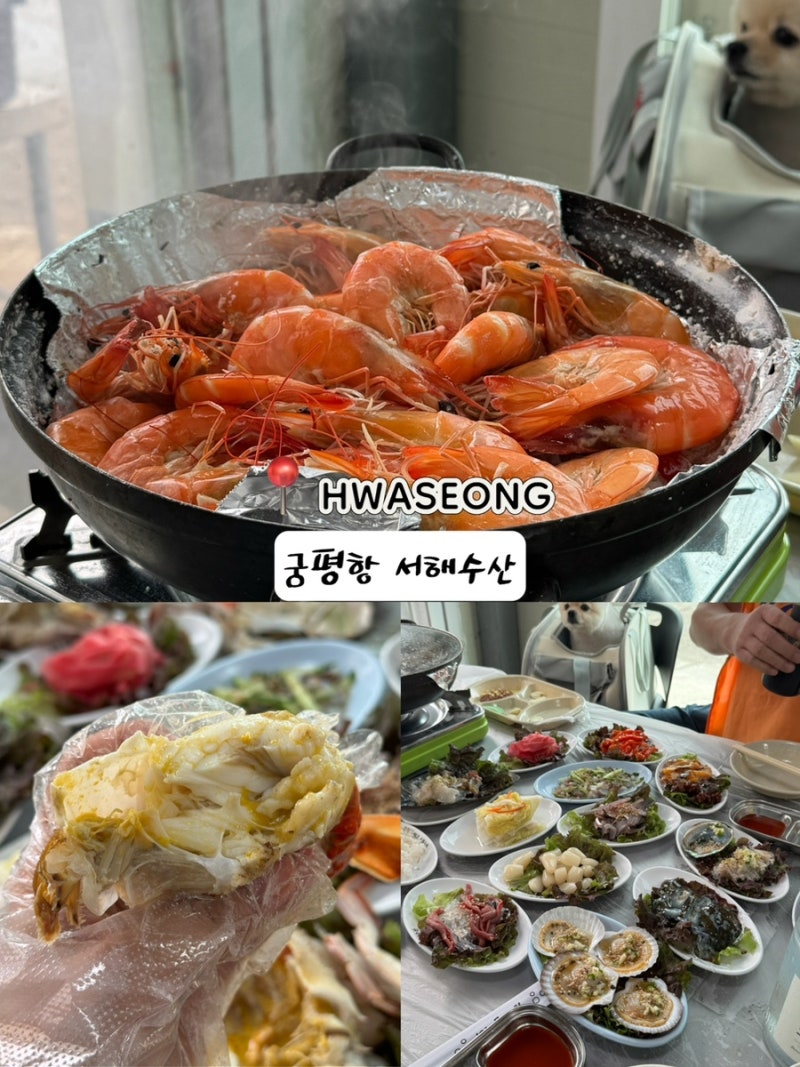 [궁평항 수산시장 서해수산] 제철 숫꽃게 내돈내산, 가격부터 주말 주차팁까지