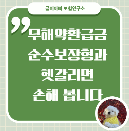 무해약환급금이란｜순수보장형과 헷갈리면 손해 봅니다