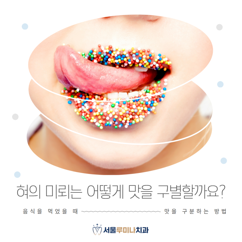 혀의 미뢰는 어떻게 맛을 구별할까요?
