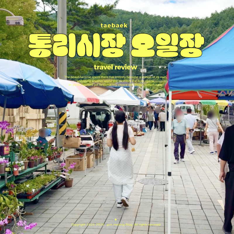 강원도 시장 태백 여행 통리장 전국 오일장 먹거리