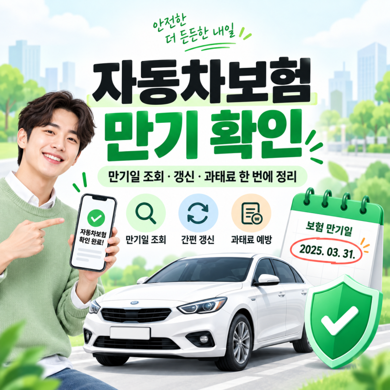 자동차보험 만기 확인 방법｜만기일 조회부터 갱신·과태료까지 한 번에 정리