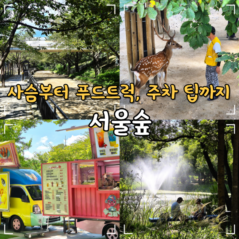 서울숲 놀거리 사슴 피크닉 자전거 놀이터 주차 꿀팁 푸드트럭 위치