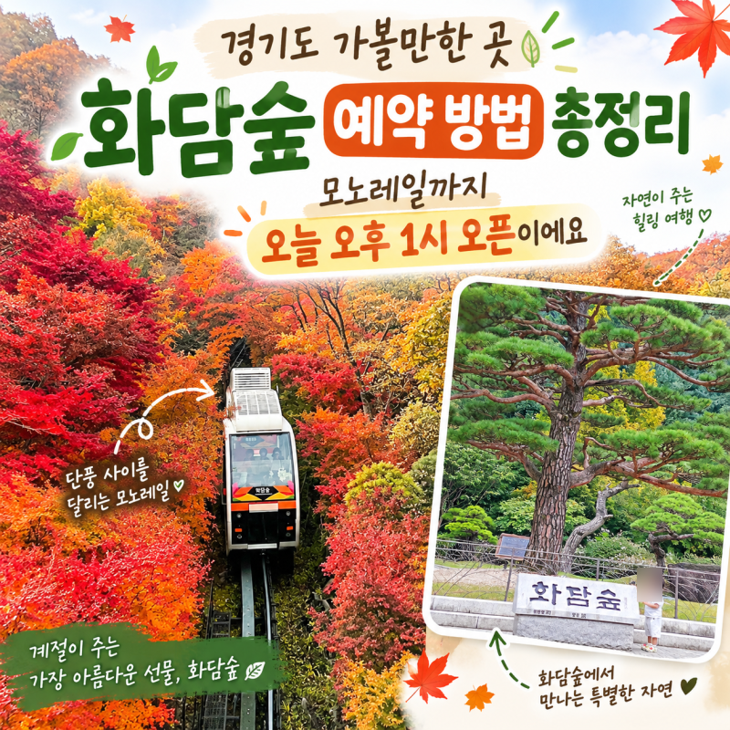 경기도 가볼만한 곳 화담숲 예약 방법 팁 총정리 모노레일까지 오늘 오후 1시 오픈이에요