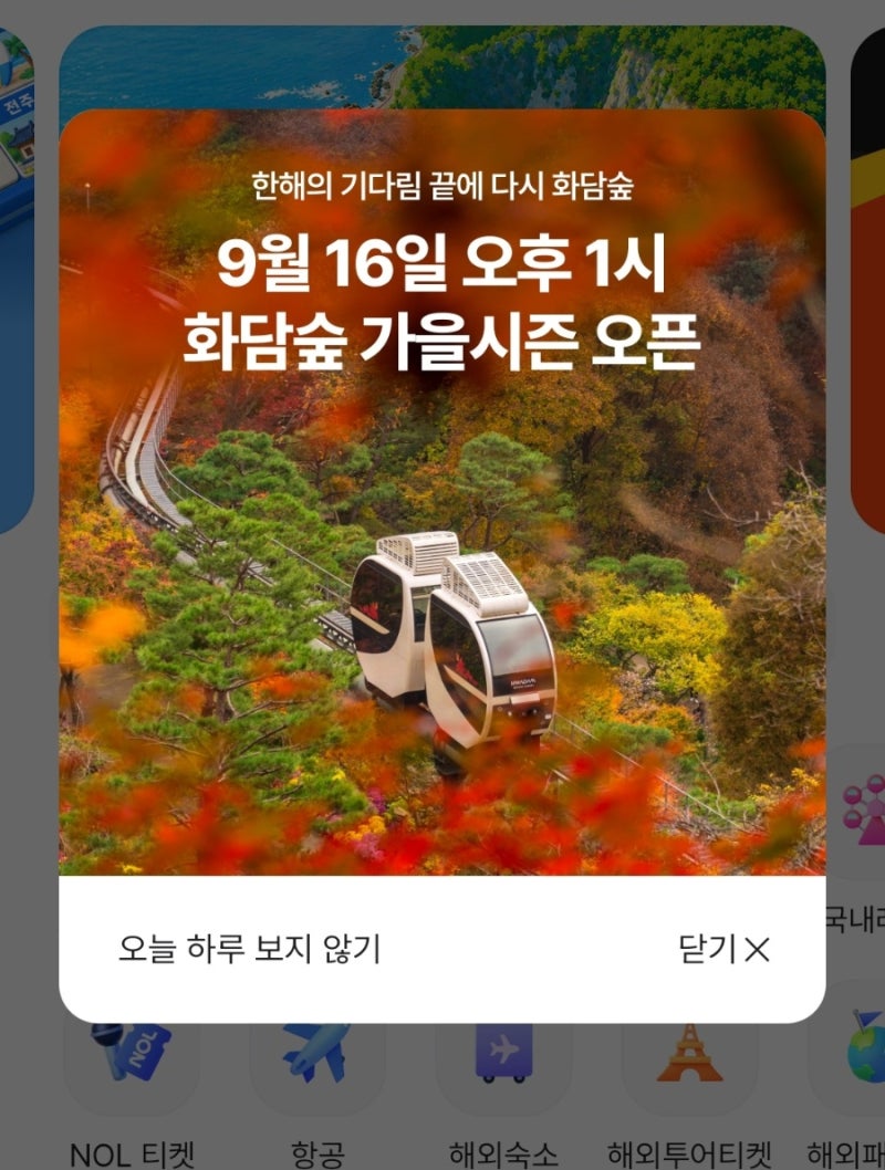 [일상] 서울 경기 단풍명소 2026 화담숲 가을 단풍 예약 성공 후기 예약 방법부터 모노레일 선....