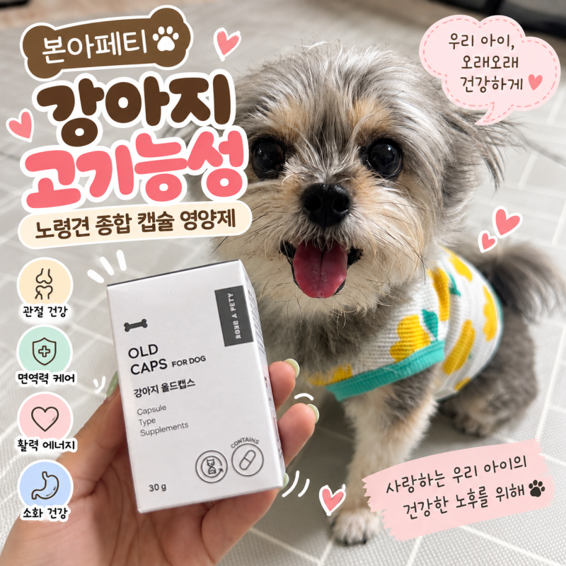 강아지치매영양제 본아페티 올드캡스 노령견 영양제 11살 강아지 급여 후기
