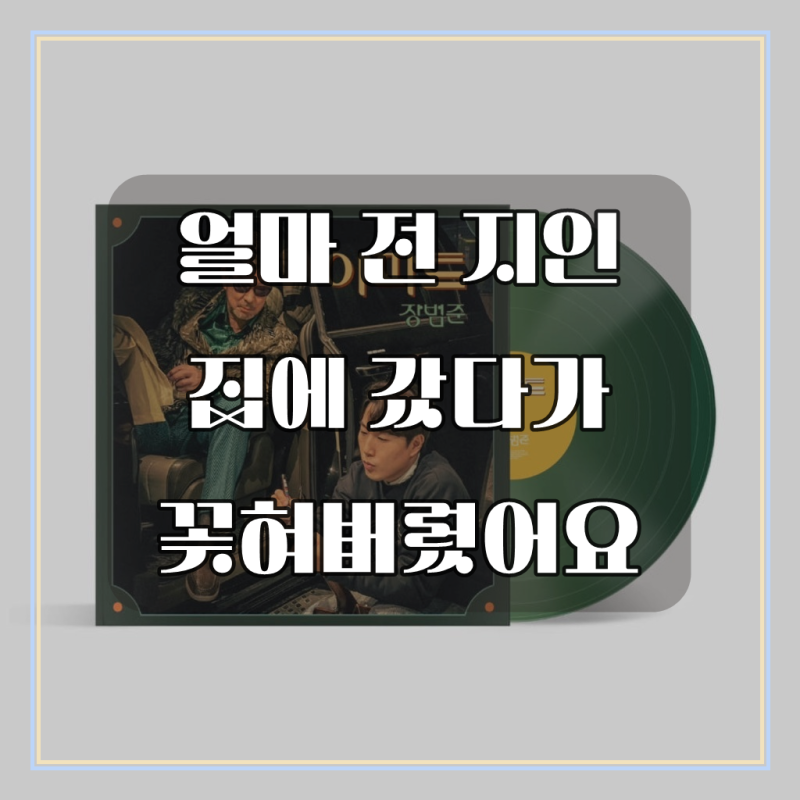 장범준 LP - 아파트 (7 인치) [Transparent green colored]