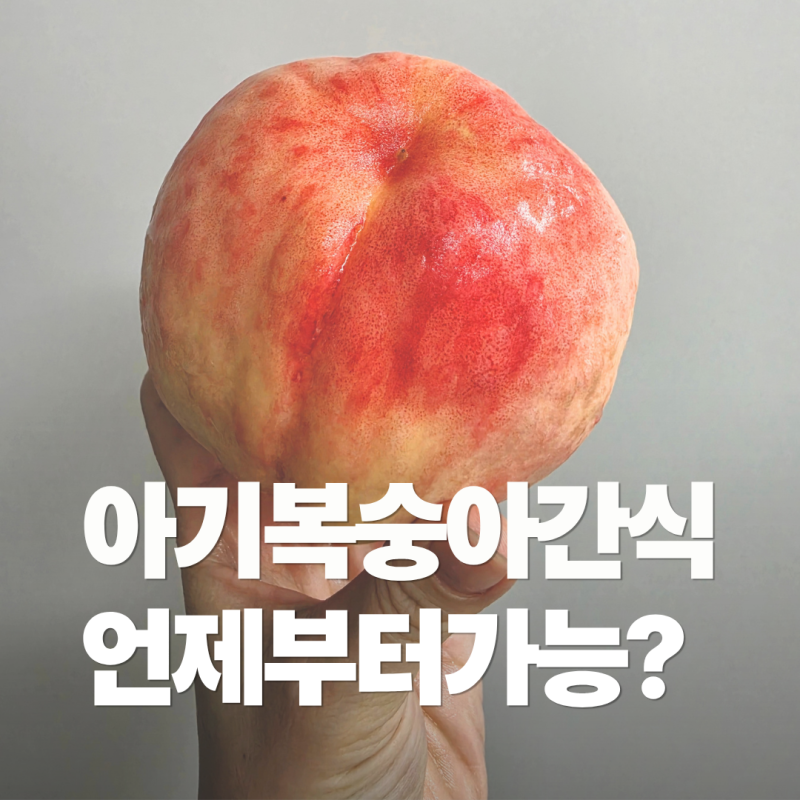 6개월 7개월 아기 복숭아 언제부터? 복숭아 씨 제거 손질법 11개월 쌍둥이 아기 후기