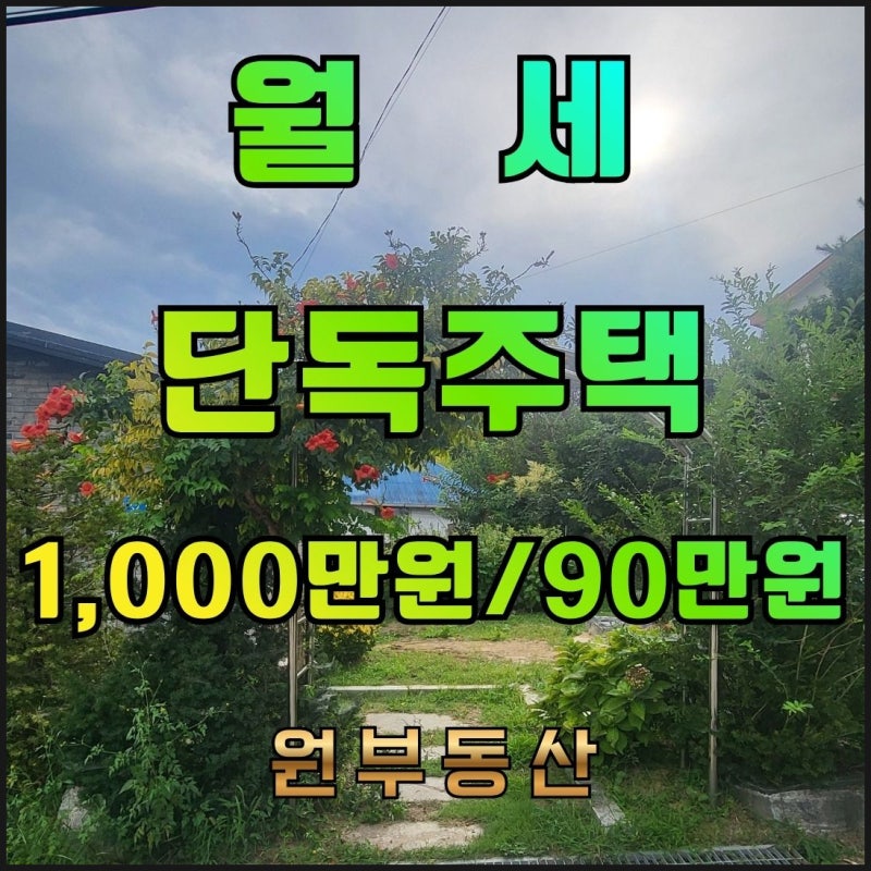 [둔포면 단독주택 월세]｜넓은 마당과 예쁜 조경｜바베큐장까지 갖춘 아산 주택