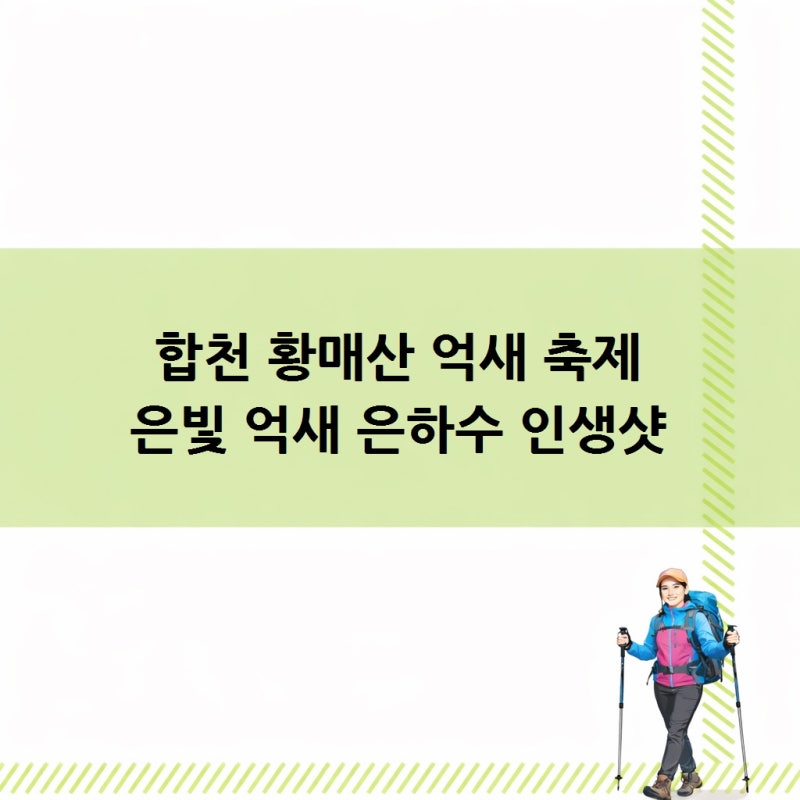 합천 황매산 억새 축제 절정 시기 등산코스 은빛 억새 은하수 인생샷