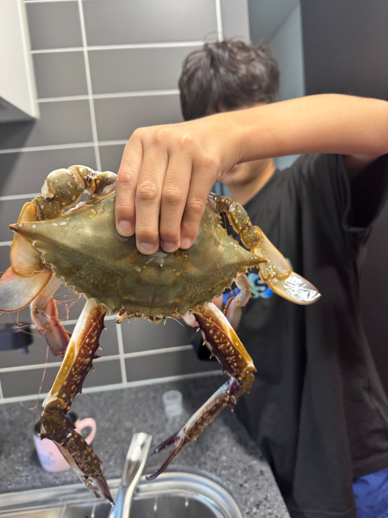 제철 꽃게찜 레시피 수꽃게 손질법부터 찌는법까지 살 꽉 찬 꽃게찜