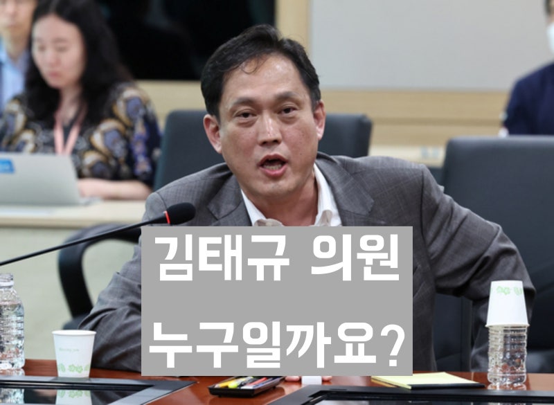 '법사위 갱년기 발언' 국민의힘 김태규 의원 학력 및 경력과 살아온 생애