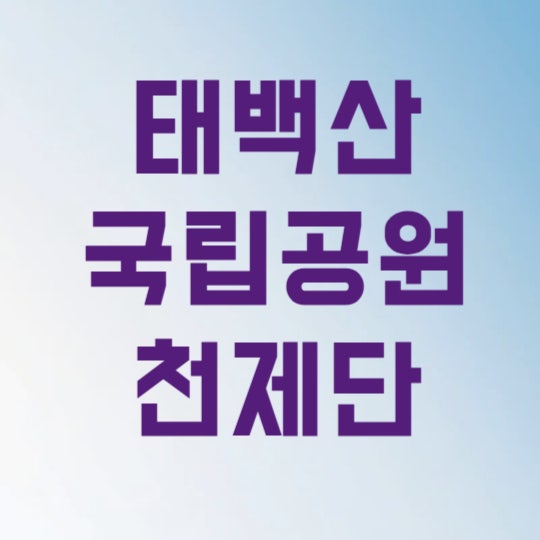 태백산 국립공원 천제단 CCTV 실시간 영상보기 바로가기로 안전 산행 3가지 꿀팁