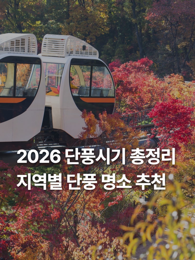 2026 단풍 시기 총정리 시기별 가을 단풍 명소로 추천하는 여행지