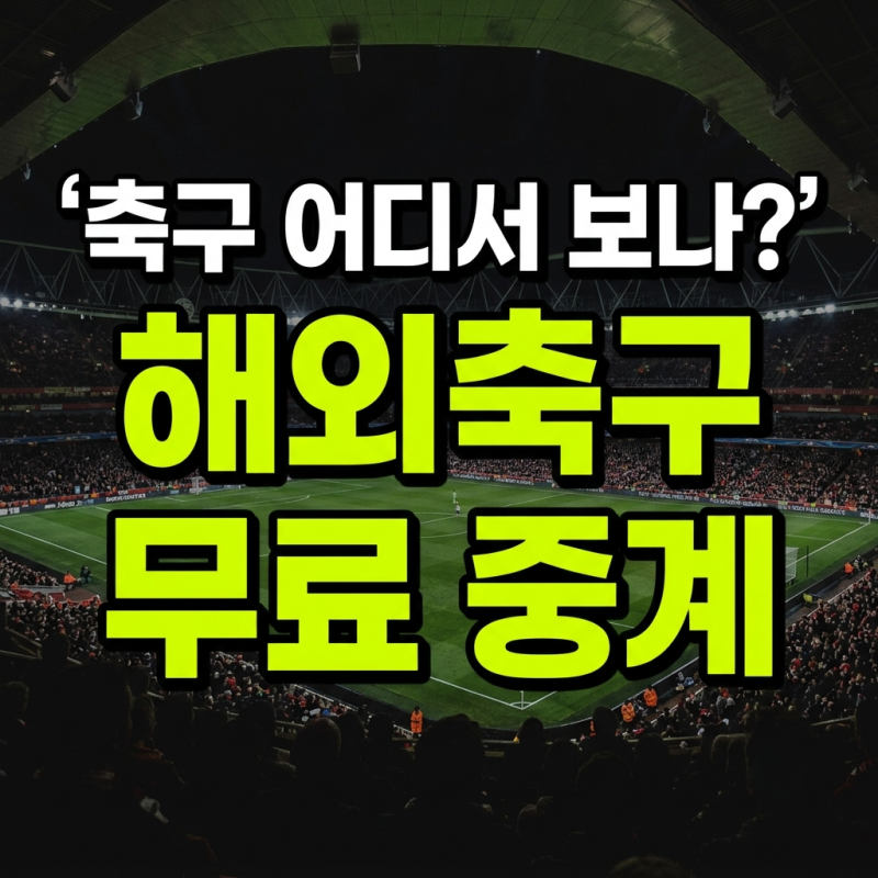 해외축구 무료 중계 어디서 보나? 쿠팡플레이·SPOTV NOW 비교