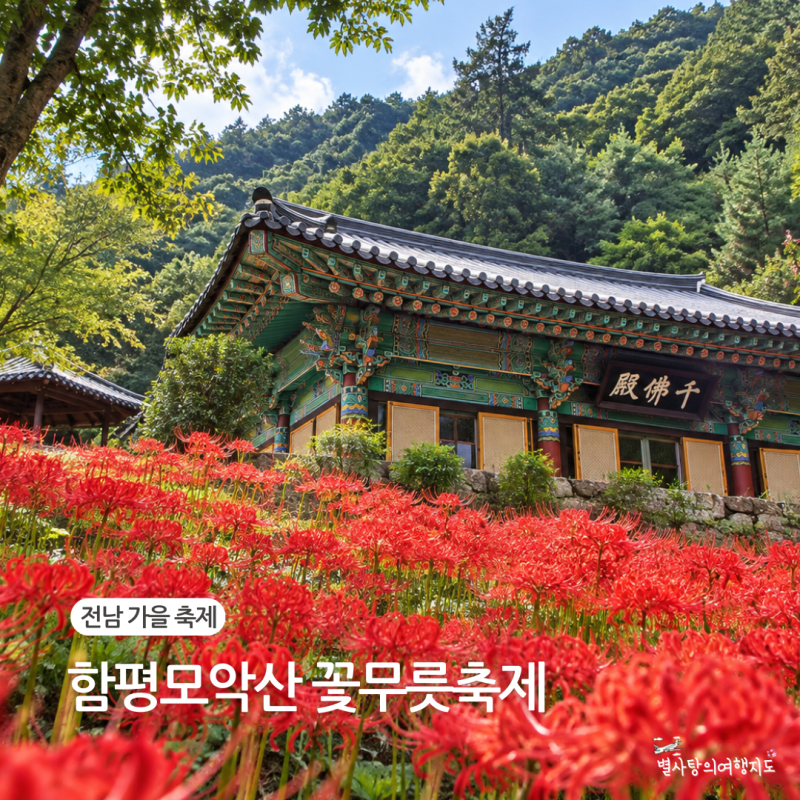 함평모악산 꽃무릇축제 총정리 9월 전남 꽃구경 함평 가볼만한곳