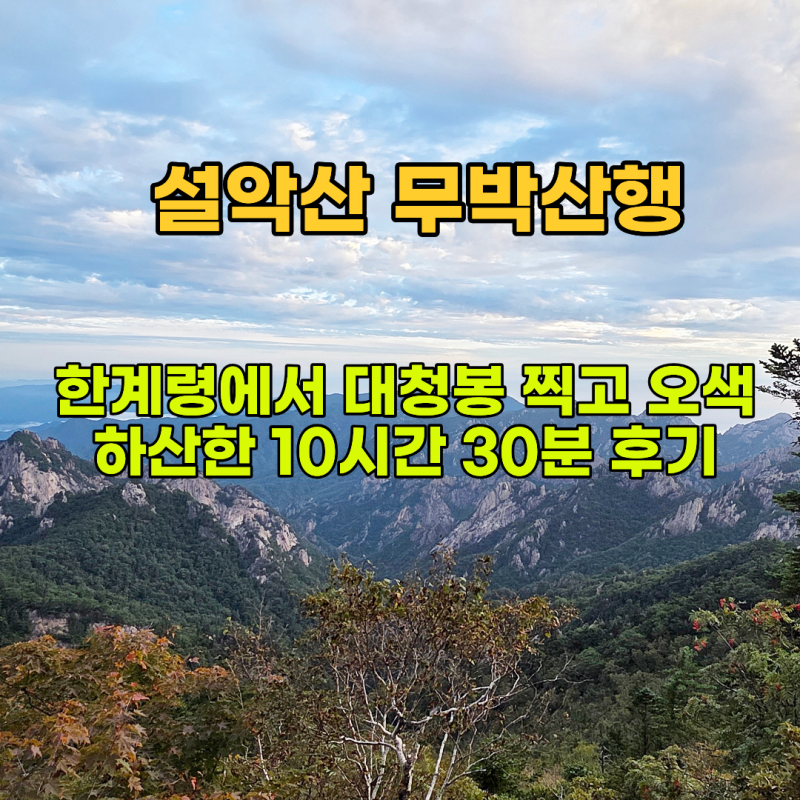 설악산 무박산행, 한계령에서 대청봉 찍고 오색 하산한 10시간 30분 후기
