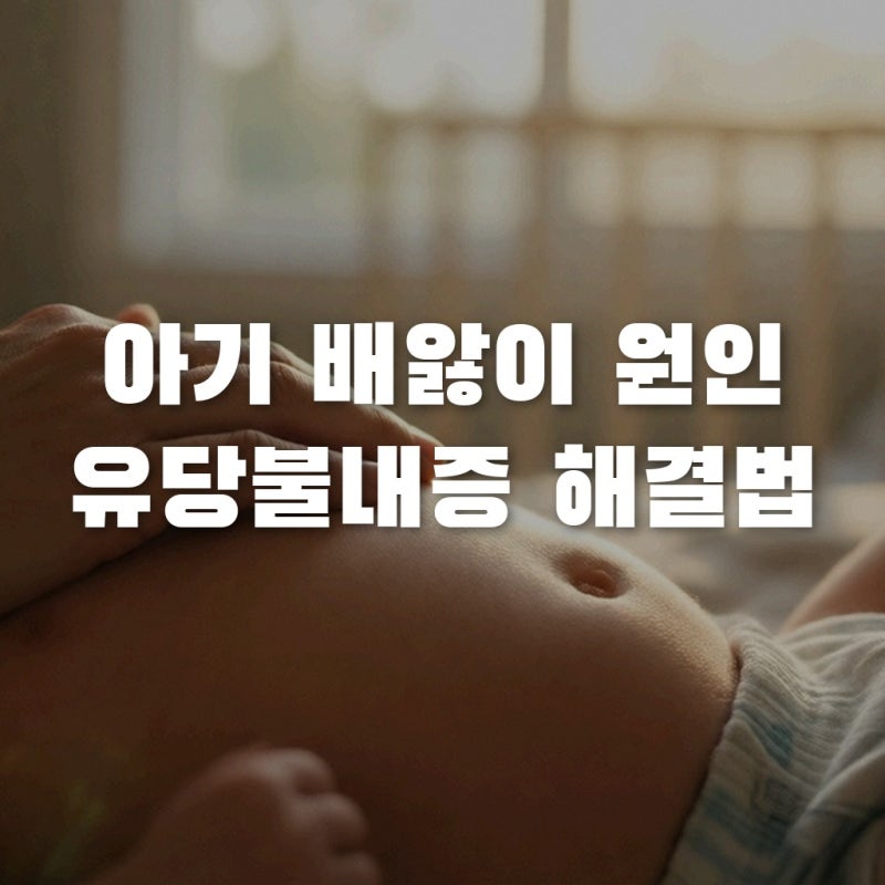 아기 배앓이 원인 유당불내증 분유 선택과 락토프리 분유 차이 정리