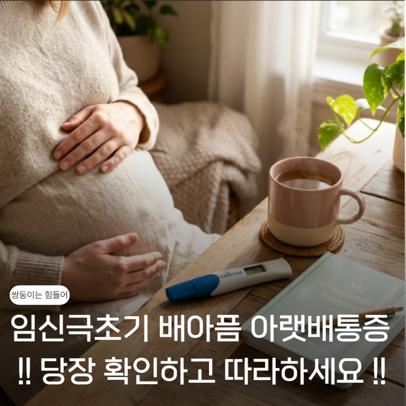 임신극초기 배아픔 아랫배통증 있다면? 당장 필독하고 따라하세요!