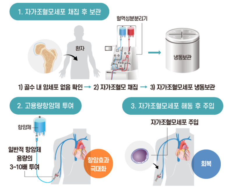 조혈모세포이식이란? 수혜자가 알아야 하는 모든 것!
