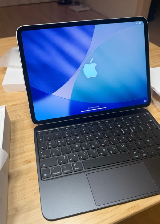 애플 아이패드 프로 11 M5 256GB 장단점 비교 추천