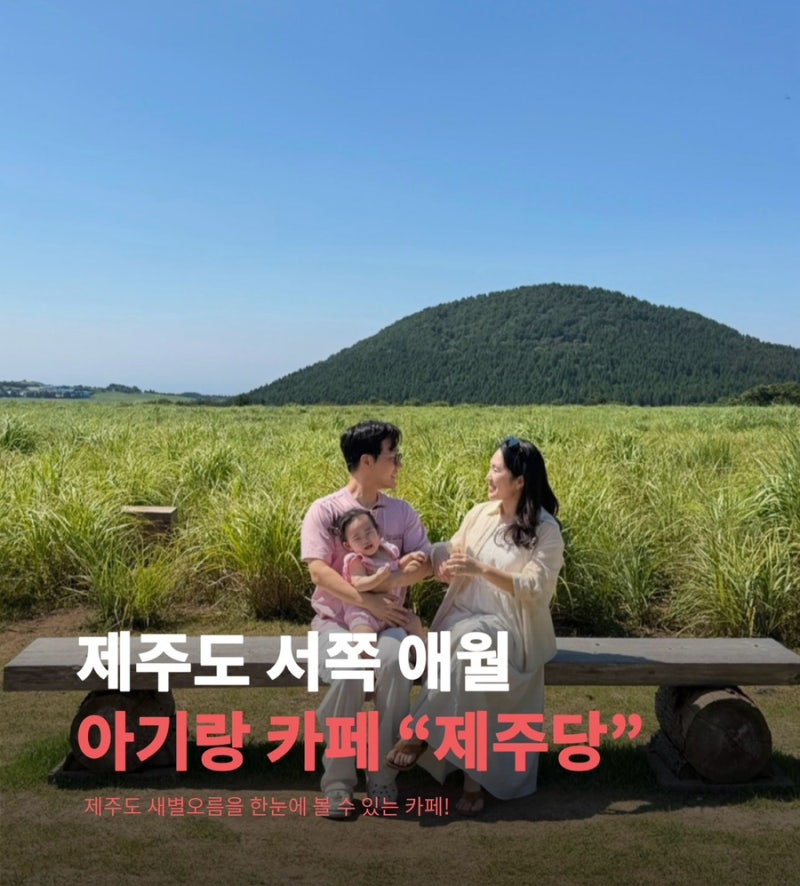 제주도 아기랑 가기좋은 대형카페 제주당, 새별오름을 한눈에 볼 수 있는 카페