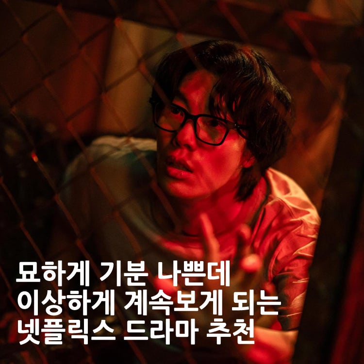 마이너한데 '이상하게 계속 보게되는' 넷플릭스 한국 드라마 추천 5선