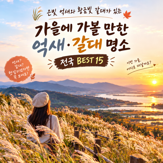 억새·갈대 전국 명소 BEST 15, 10월부터 꼭 가봐야 할 가을 여행지