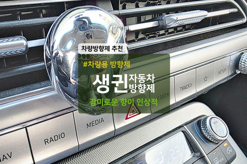 자동차 차량용 방향제 추천 생귄 SANGUINE 후기