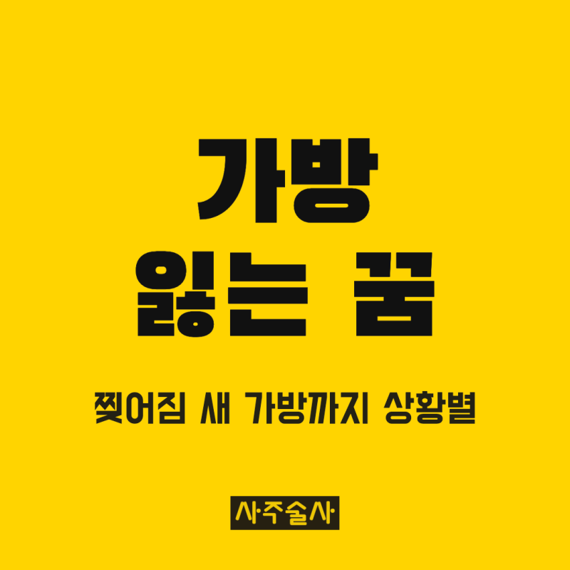 가방 잃어버리는 꿈 해몽, 찢어지는 꿈 새 가방 꿈까지 상황별 뜻