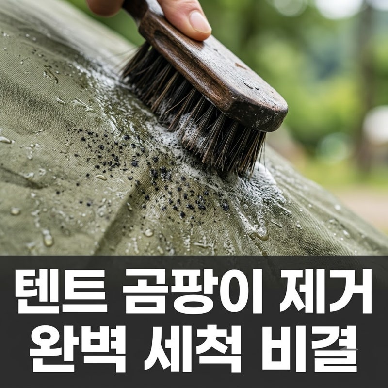 "버릴까 고민했는데.." 텐트 곰팡이 제거 방법 하나로 새것 된 비결..