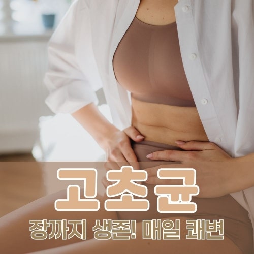 고초균 효능 5가지와 유산균 차이, 올바른 먹는법