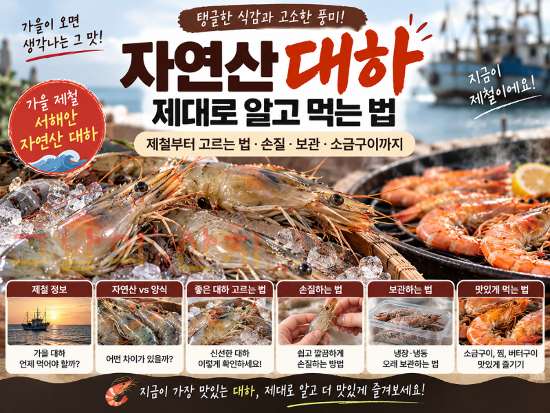 자연산 대하 제대로 알고 먹는 법｜제철부터 고르는 법·손질·보관·소금구이까지