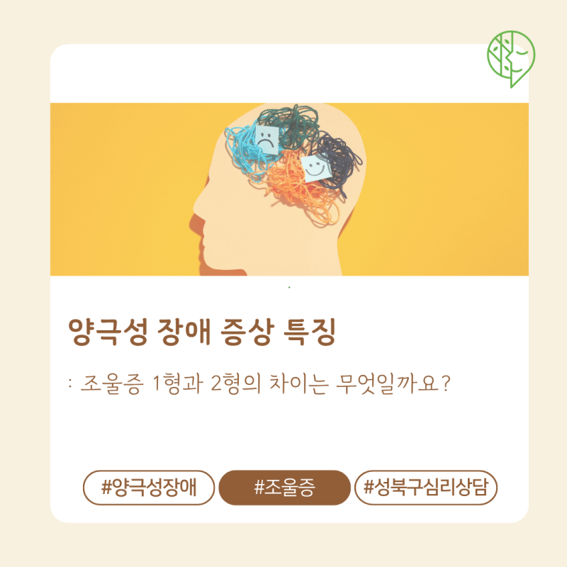 양극성 장애 증상 특징, 조울증 1형과 2형의 차이는 무엇일까요?