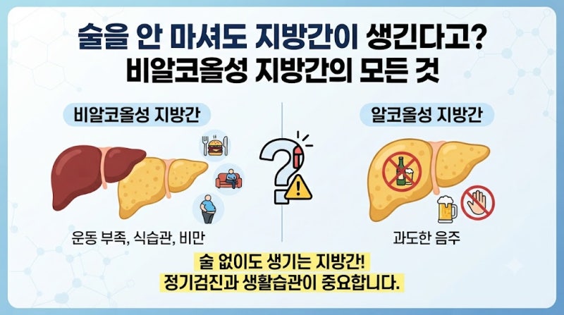 술을 안 마셔도 지방간이 생길 수 있을까? (비알코올성 지방간의 모든 것)