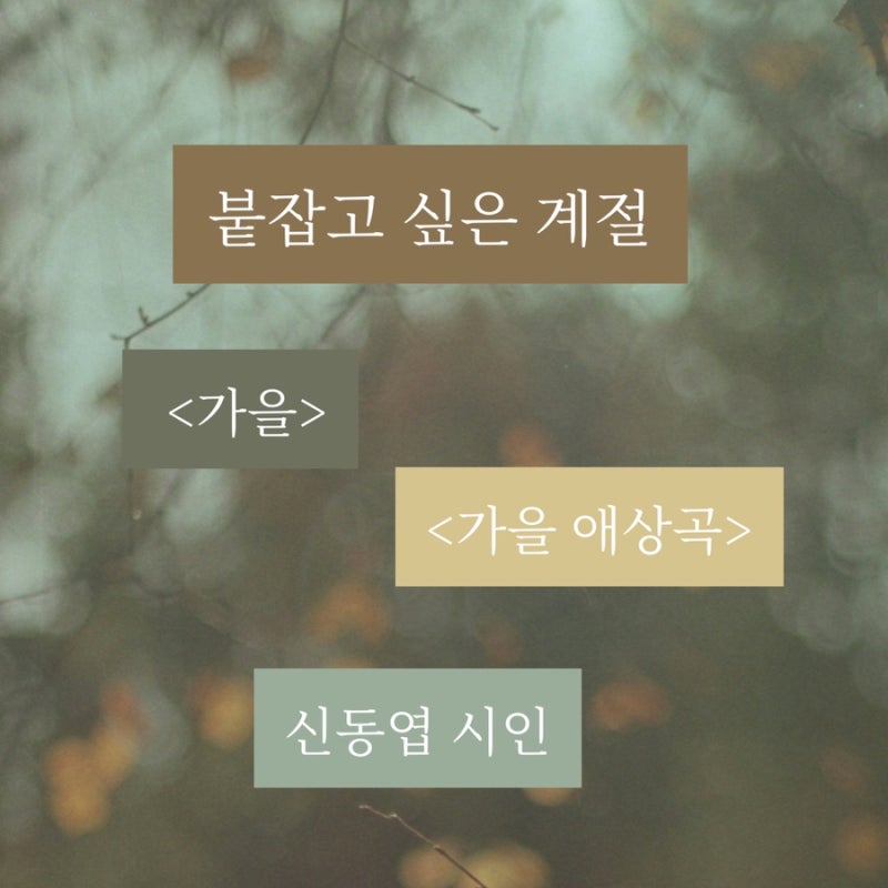 붙잡고 싶은 계절, 신동엽 시인의 <가을> 그리고 <가을 애상곡>