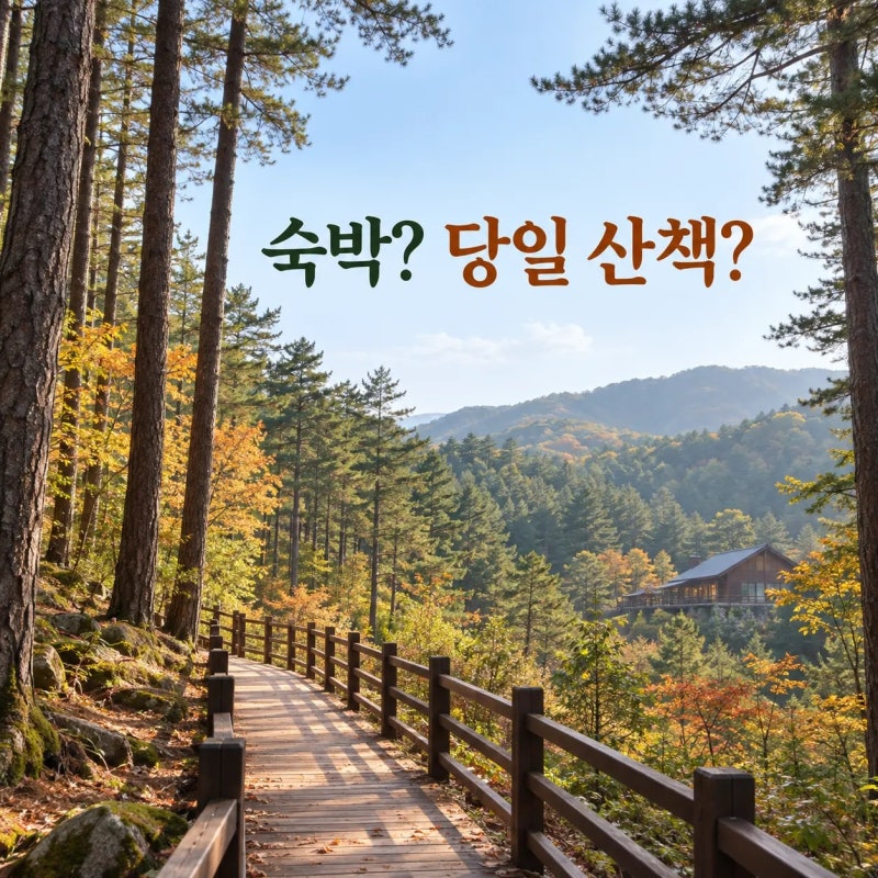 청태산자연휴양림 가을 여행, 숙박할지 당일 산책할지 먼저