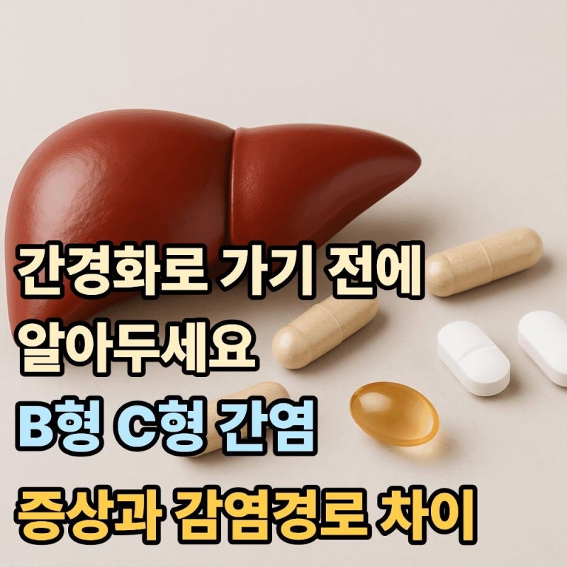"간경화로 안 갈려면 알아두세요"...B형간염 C형간염 증상과 감염경로 차이