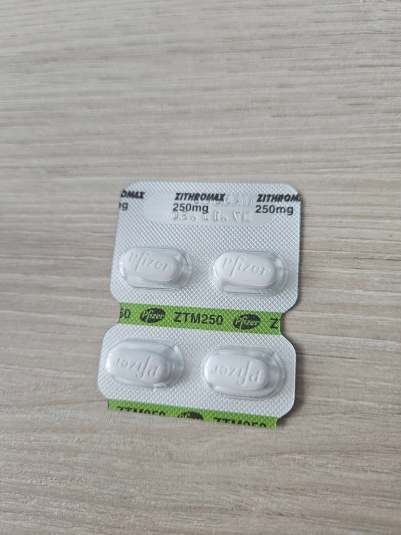 임산부 지스로맥스 먹어도 될까? 유레아플라즈마 파붐 임신 12주 복용 후기