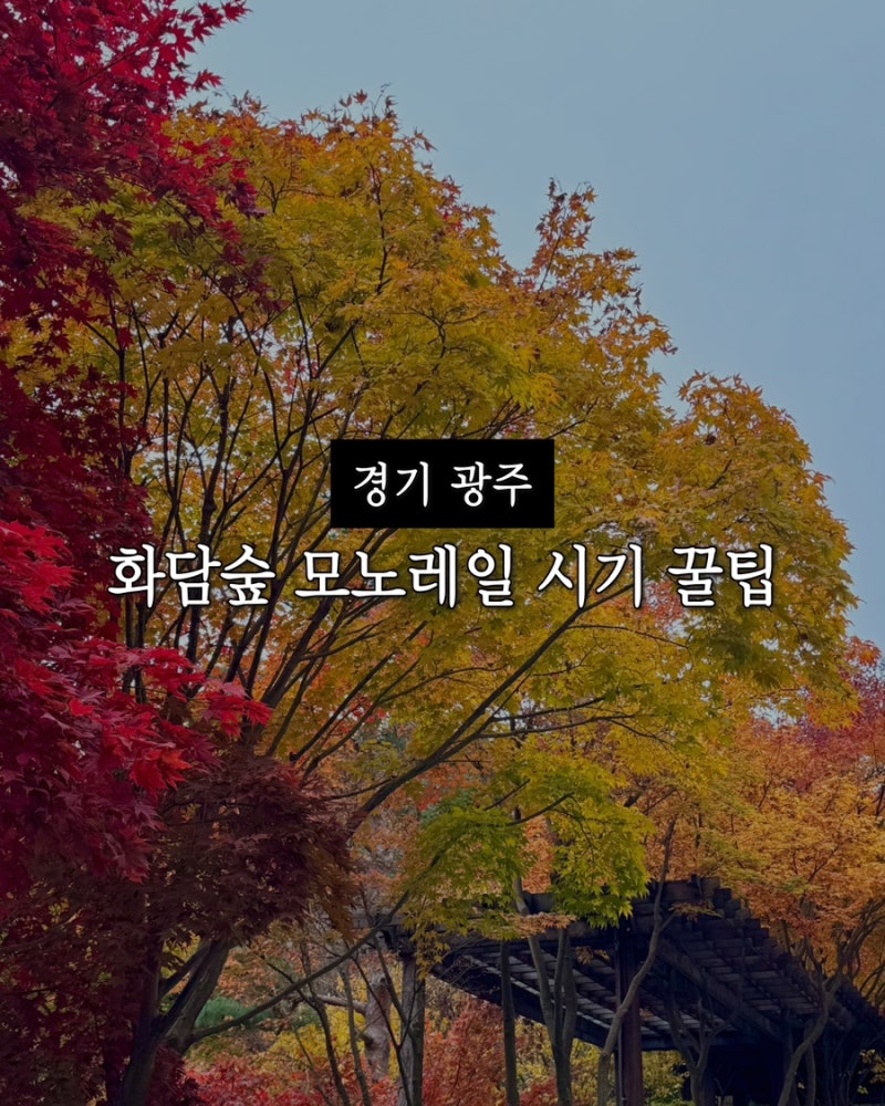 화담숲 예약 방법 경기광주인의 단풍시기 모노레일 코스 선택 취소표 꿀팁