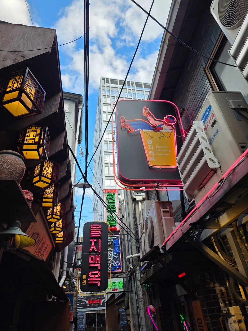 It's Already Freezing! TOP 3 Recommended Outdoor Date Spots in Seoul for Autumn