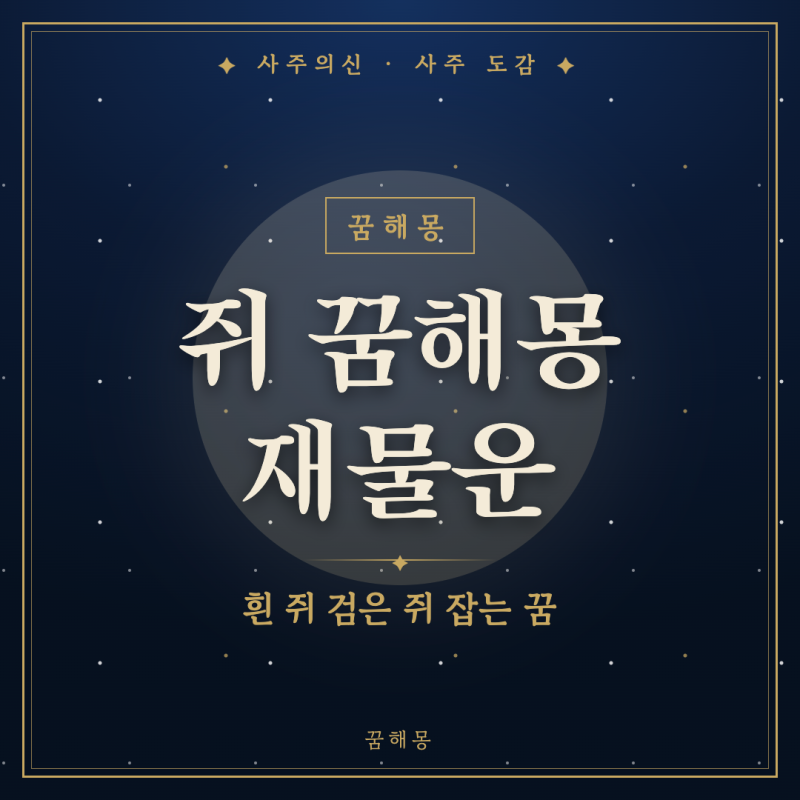 쥐 꿈해몽, 새벽에 깨서 재물운부터 검색하는 사람을 위한 상황별 뜻