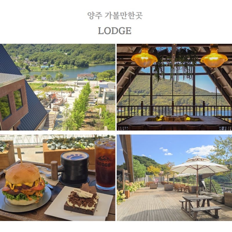 경기도 양주 애견동반 가볼만한곳 대형 카페 럿지 드라이브 코스 여행