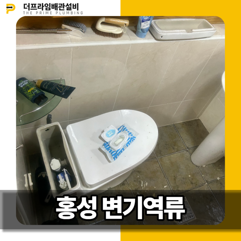 홍성 변기역류, 안 녹고 배관에 쌓인 비데 물티슈 제거해 준 업체