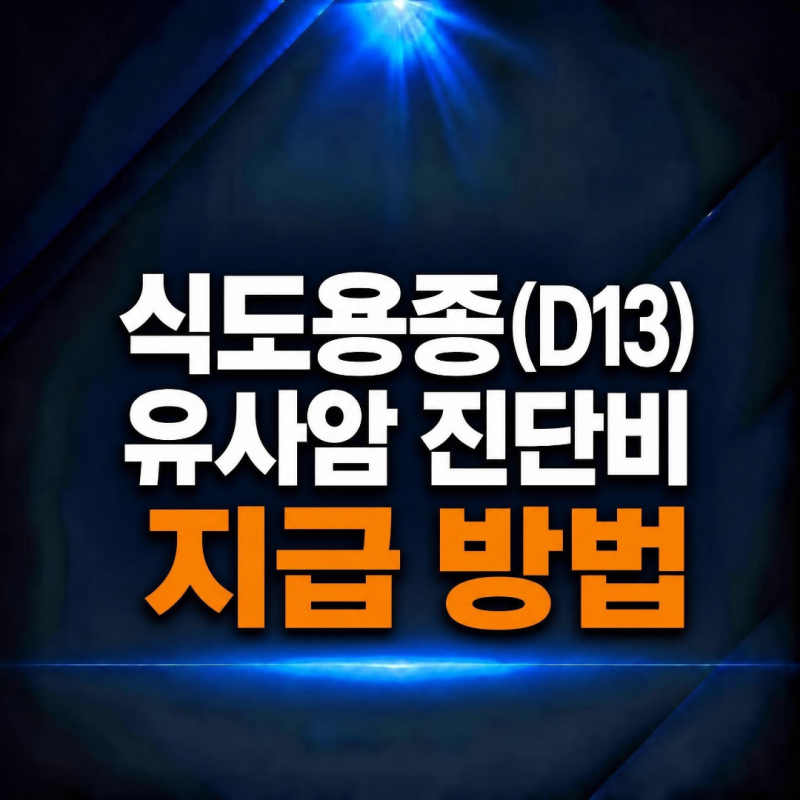 식도용종 D13 진단, 유사암(제자리암) 보험금 부지급 해결 방법