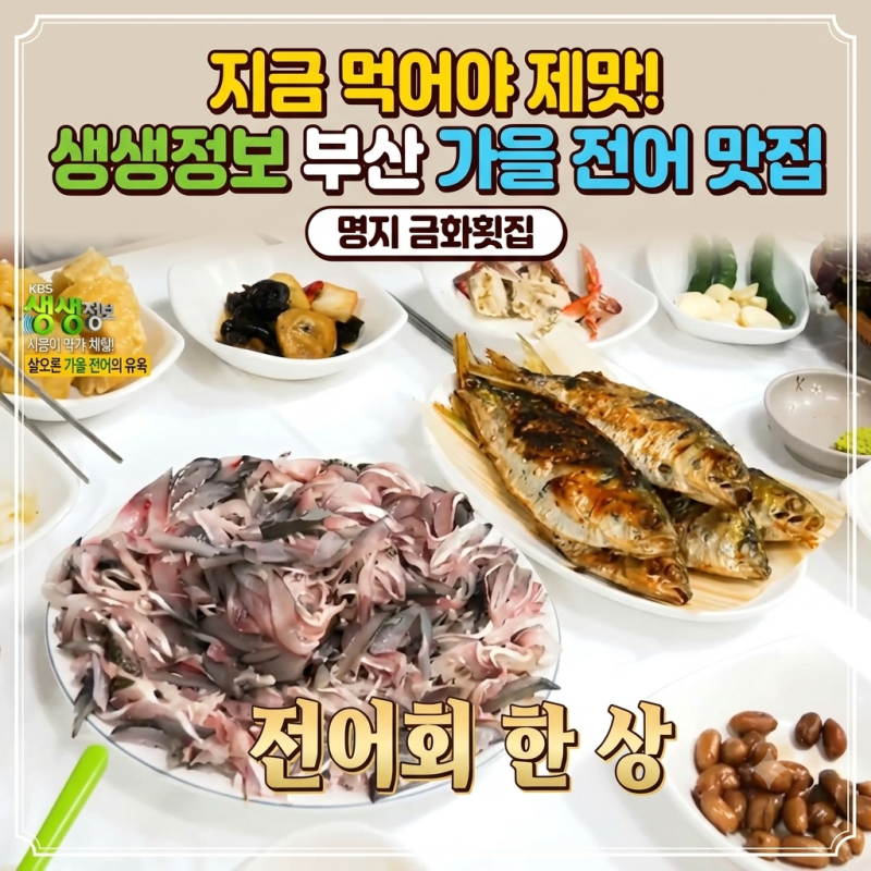 생생정보 부산 가을 전어 맛집 어디? "지금 먹어야 제맛" 명지 금화횟집 전어회·전어구이
