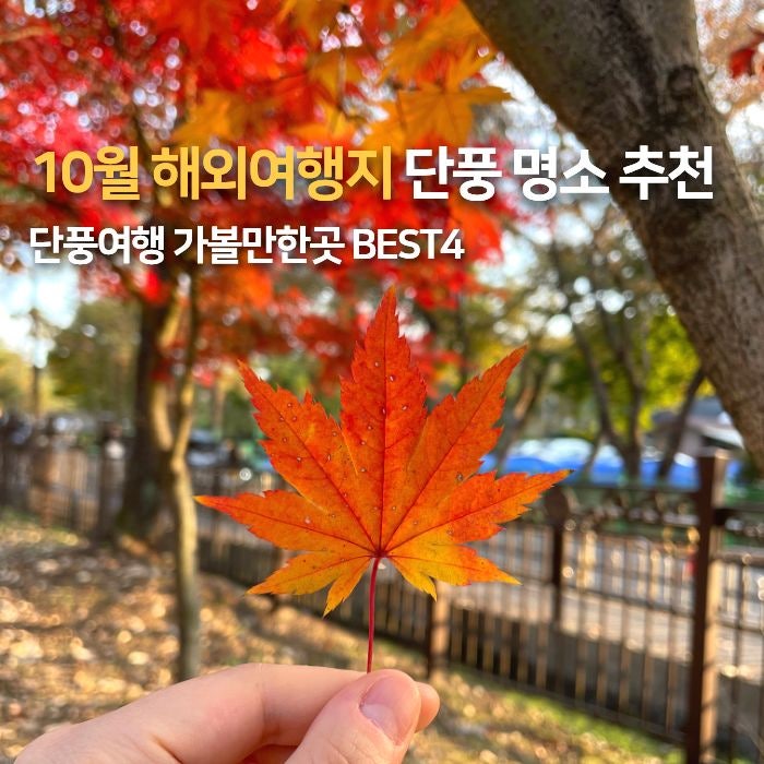 10월 해외여행지 추천 일본 단풍여행 가을 가볼만한곳 삿포로 아오모리 센다이 교토 단풍명....